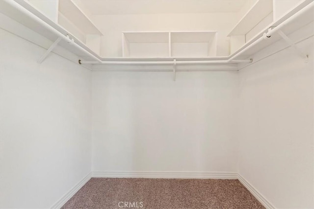 walk in closet with carpet