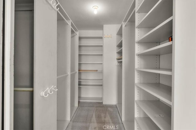 walk in closet featuring carpet flooring