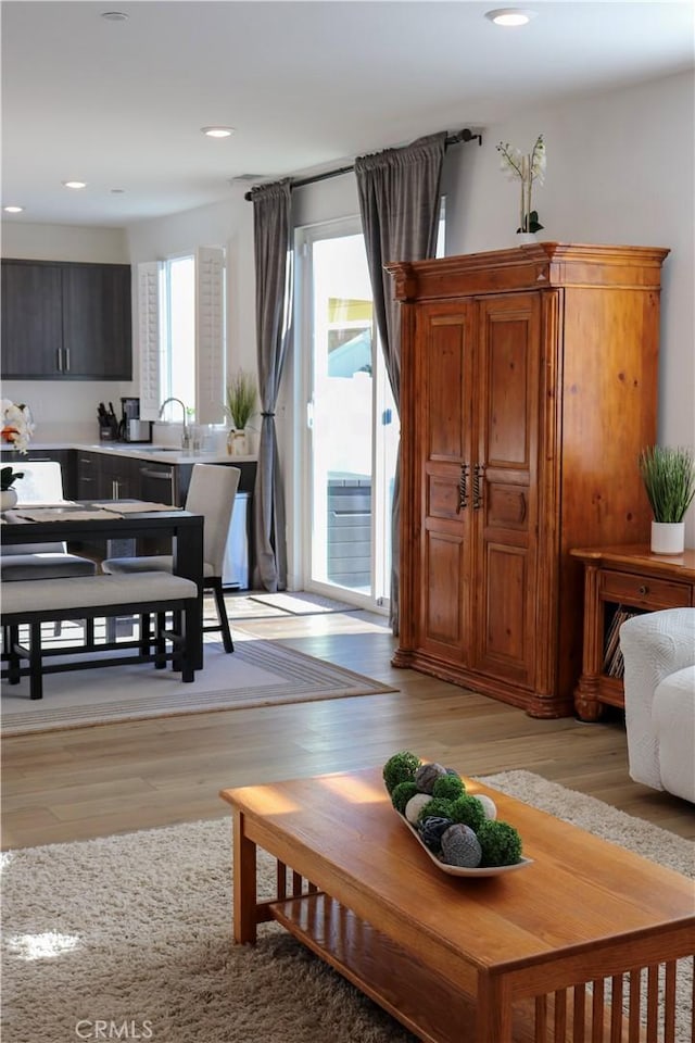 living room featuring sink and light hardwood / wood-style flooring