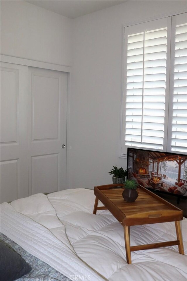 bedroom with multiple windows and a closet