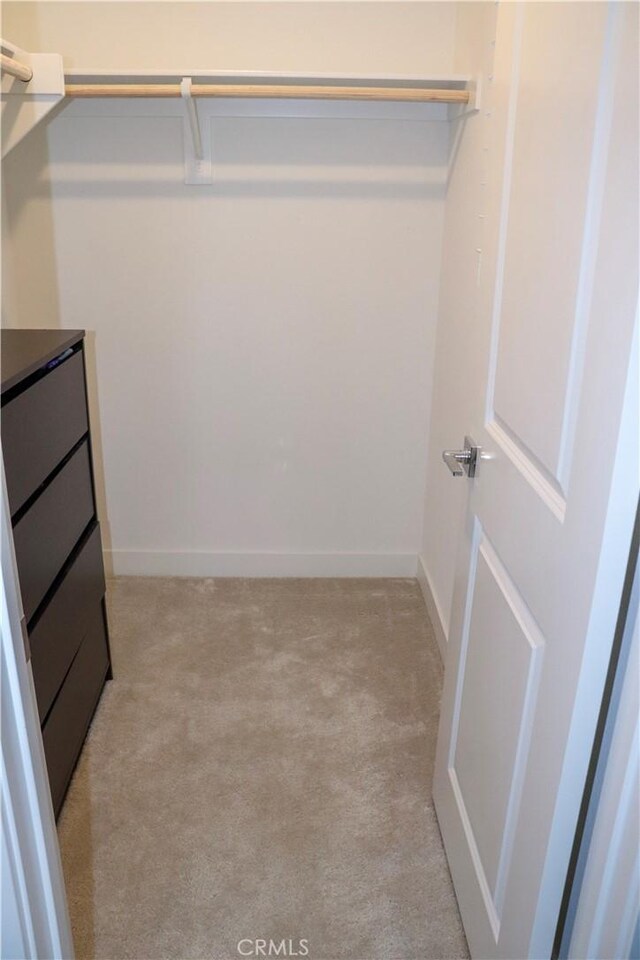 walk in closet with light carpet