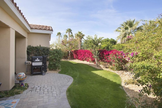 view of yard featuring a patio