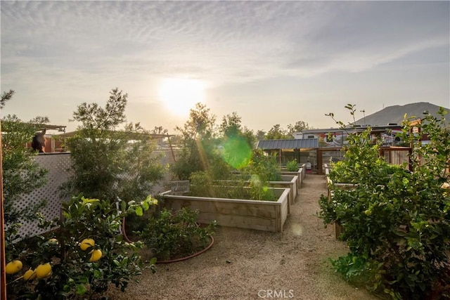 yard at dusk with a mountain view