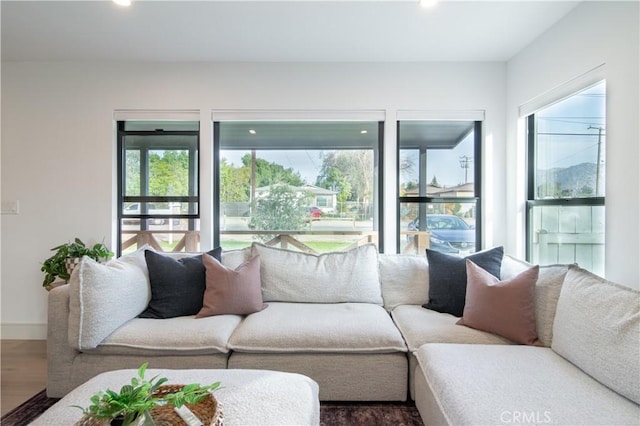 living room featuring hardwood / wood-style flooring and plenty of natural light