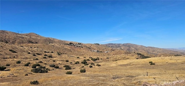 Listing photo 3 for 0 Richter Ln, Acton CA 93510