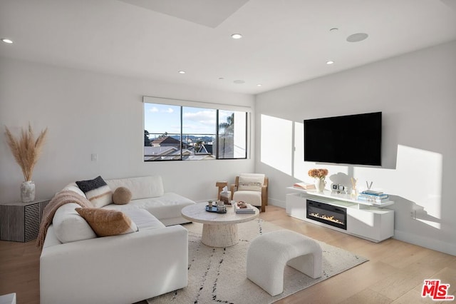 living room featuring light wood-type flooring