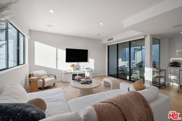 living room with light wood-type flooring