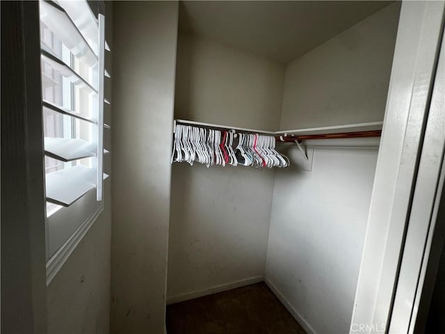 view of walk in closet