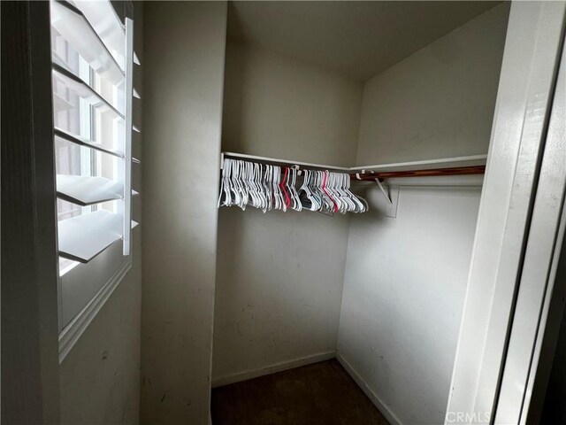 view of walk in closet