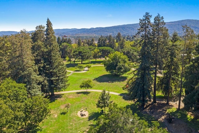 aerial view with a mountain view