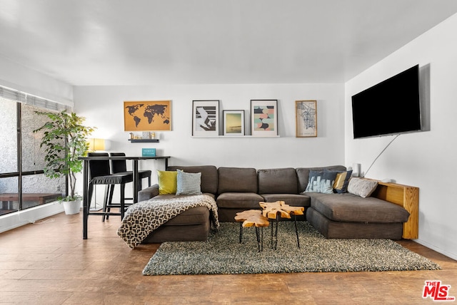 living room featuring wood-type flooring