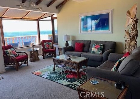 30 Camino De Flores Unit 71, Avalon, CA 90704 - living room with carpet flooring and a water view