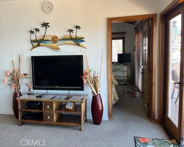 30 Camino De Flores Unit 71, Avalon, CA 90704 - living area with carpet floors and baseboards