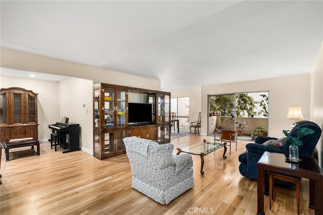 living room with hardwood / wood-style flooring