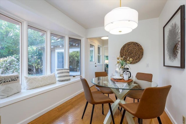 dining room with hardwood / wood-style floors