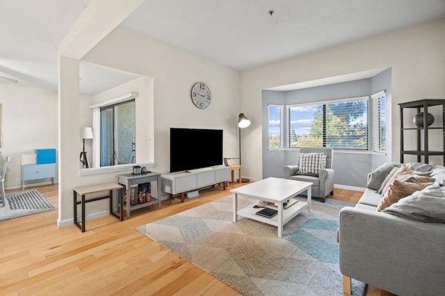 living room with hardwood / wood-style floors