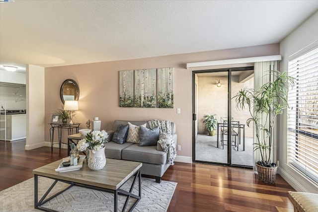 living room with dark hardwood / wood-style flooring