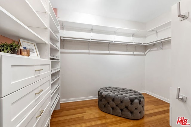 spacious closet featuring wood-type flooring