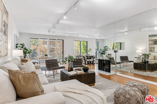 living room featuring light wood-type flooring