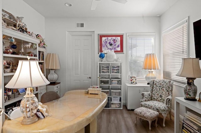 office space featuring ceiling fan and dark hardwood / wood-style flooring