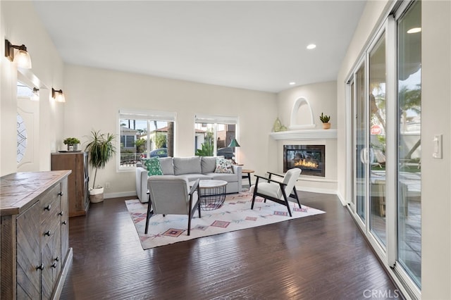 living room with dark hardwood / wood-style flooring