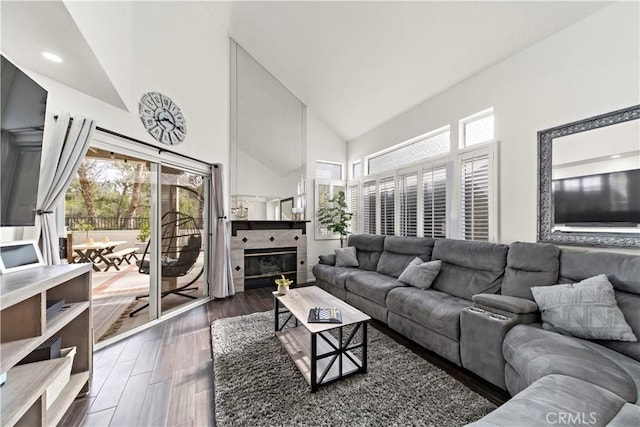 living room featuring dark hardwood / wood-style flooring, a fireplace, and high vaulted ceiling