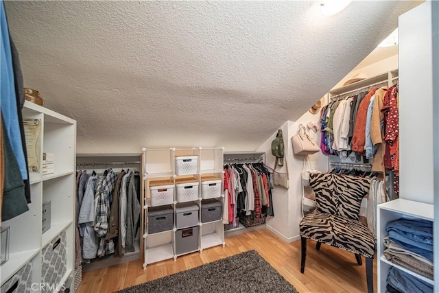 spacious closet featuring light hardwood / wood-style flooring