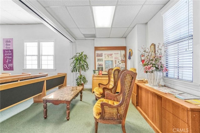 living area with carpet, a wealth of natural light, and a drop ceiling