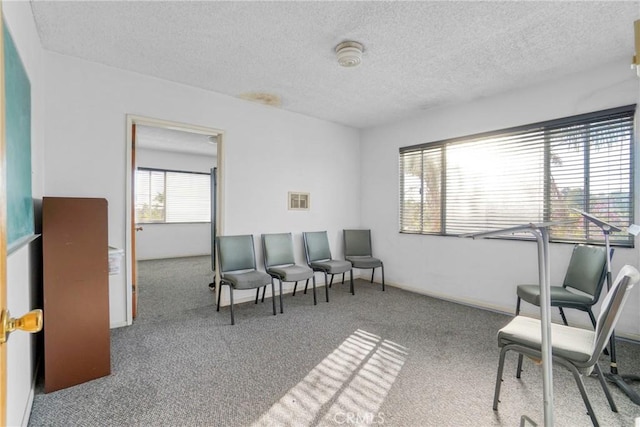 office featuring light colored carpet and a textured ceiling