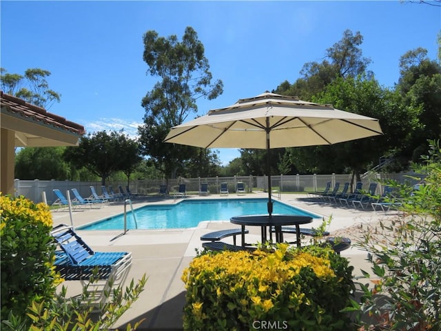 view of swimming pool with a patio