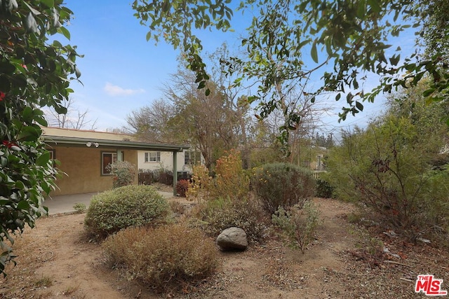 view of yard with a patio area