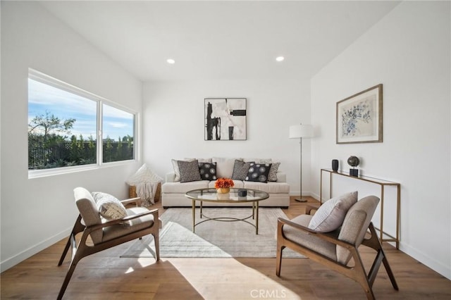 living room with wood-type flooring