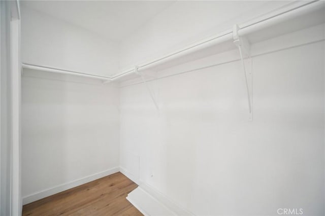 walk in closet featuring hardwood / wood-style flooring