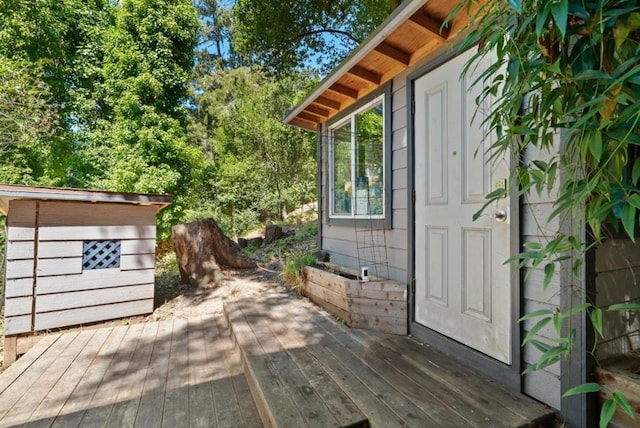 wooden terrace featuring a storage shed