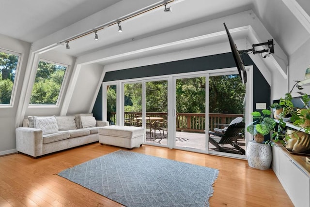 sunroom / solarium with track lighting