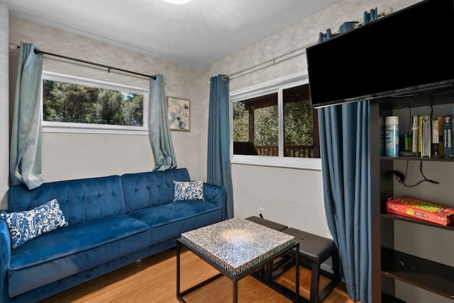 living room featuring a healthy amount of sunlight and wood-type flooring