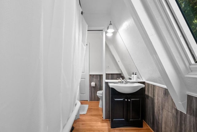 bathroom with vanity, wood-type flooring, and toilet