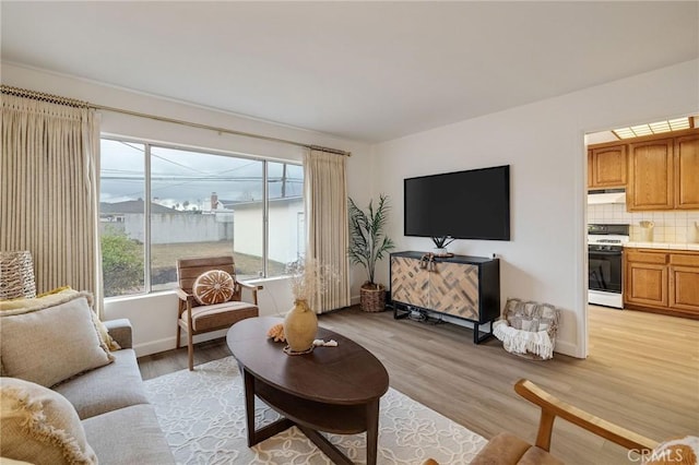 living room featuring light hardwood / wood-style floors