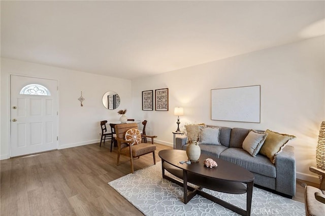 living room with hardwood / wood-style floors