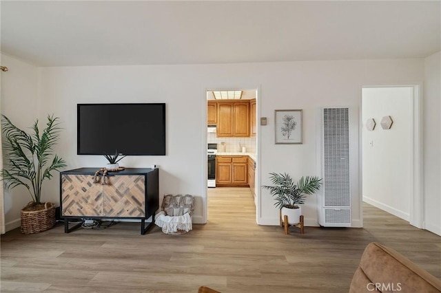 living room featuring light hardwood / wood-style flooring