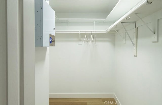 walk in closet featuring wood-type flooring