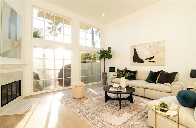 living room featuring hardwood / wood-style flooring, a towering ceiling, and a fireplace