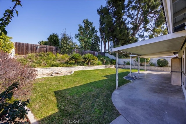 view of yard featuring a patio area