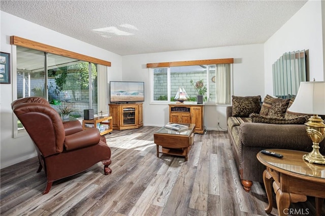 living room with wood-type flooring and a textured ceiling