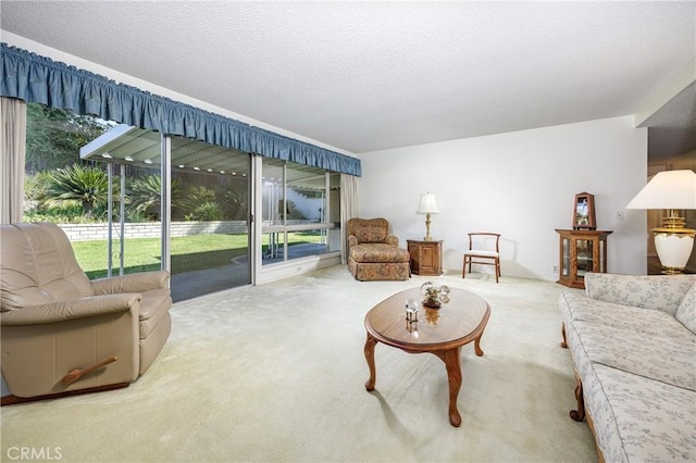 carpeted living room with a textured ceiling