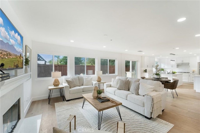 living room with light hardwood / wood-style floors, a premium fireplace, and a healthy amount of sunlight