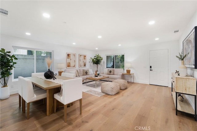 living room featuring light hardwood / wood-style flooring