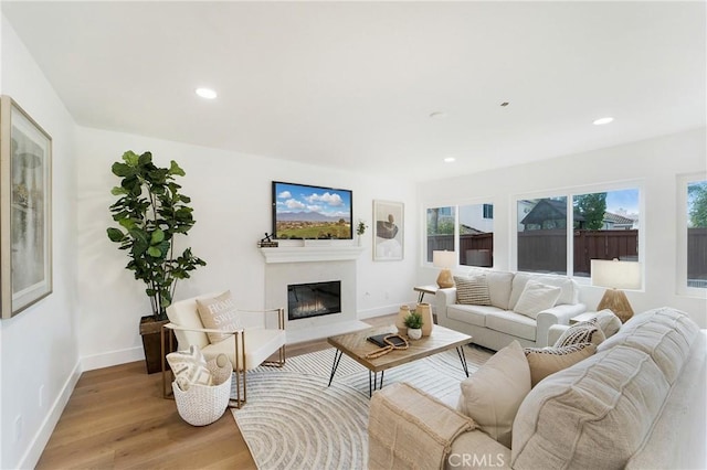 living room featuring light hardwood / wood-style flooring