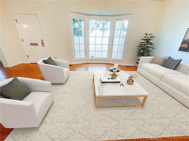 living room featuring wood-type flooring