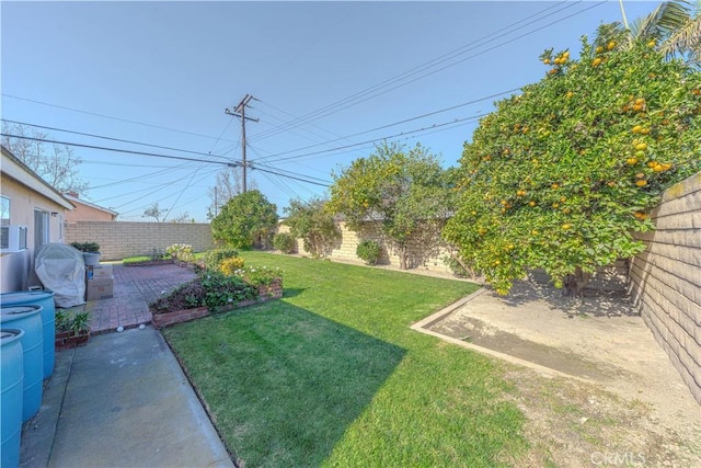 view of yard with a patio